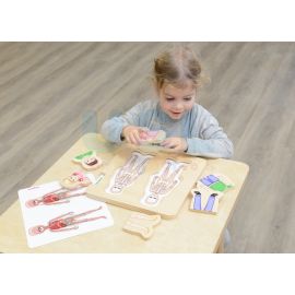 Human Body Layered Puzzles