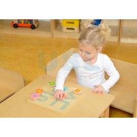 Insect Sliding Maze