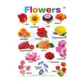 Poster - Flower