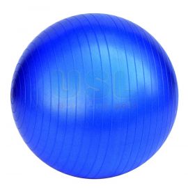Anti Burst Gym Ball 22"