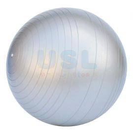 Anti Burst Gym Ball 26"