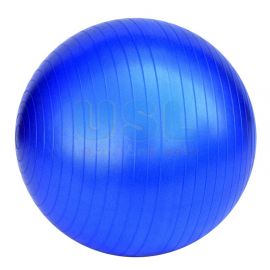 Anti Burst Gym Ball 33"