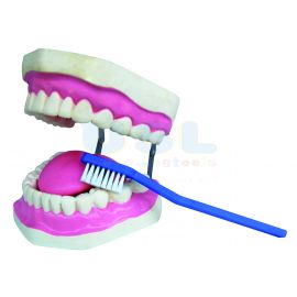 Tooth Hygiene Set with Tongue