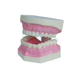 Small Tooth Hygiene Set