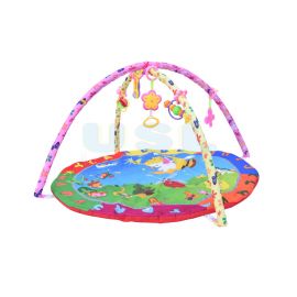 Baby Play Gym
