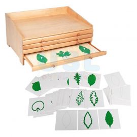 Complete Set Of Botany Cabinet