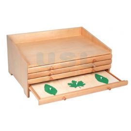 Botany Cabinet Including Leaf Shapes Frames
