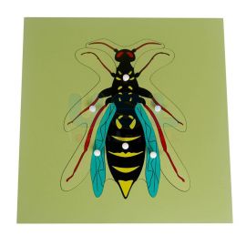Insect Puzzle - Housefly