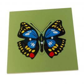 Insect Puzzle - Butterfly