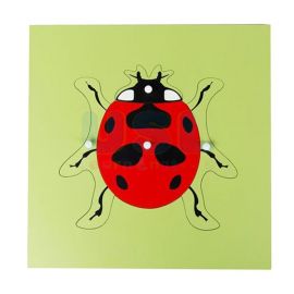 Insect Puzzle - Ladybird