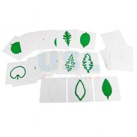 Leaf Cards