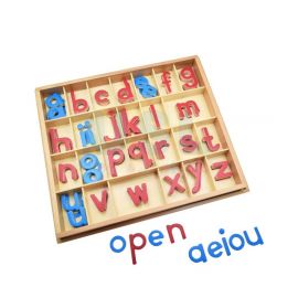 Large Wooden Movable Alphabet
