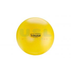 Volleyball gr220 Ø cm22 Y