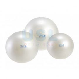 Fitball Pro Ø cm65 X-BRQ