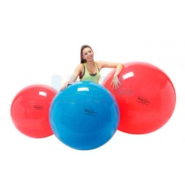 Physio Gymnic Ø cm95 B