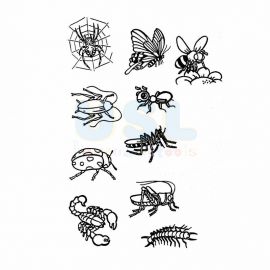 Small Animals & Insects
