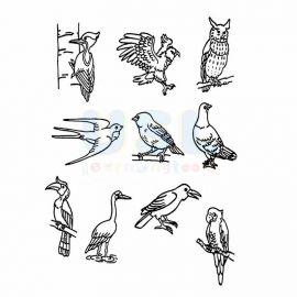 Birds