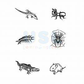 Animals That Crawl