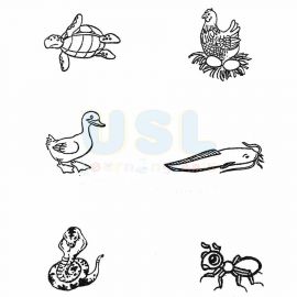 Animals That Lays Eggs