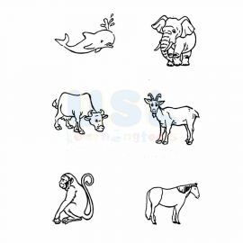 Animals That Give Birth