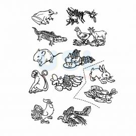 Animals and Their Food