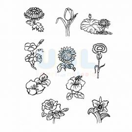 Flowering Plants