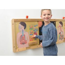 Respiratory System