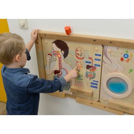 Digestive System