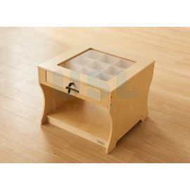 Science is Fun! Display Table