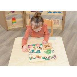 Butterfly Life Cycle Handy Learning Board