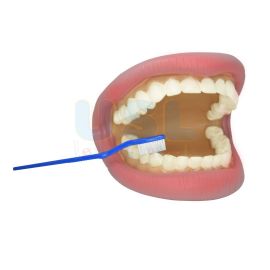 Moving Mouth With Toothbrush