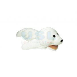 Sea Animal - Seal