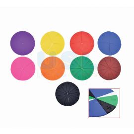 Circle Fraction Disks