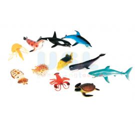 Ocean Model