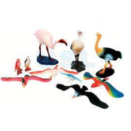 Birds Model