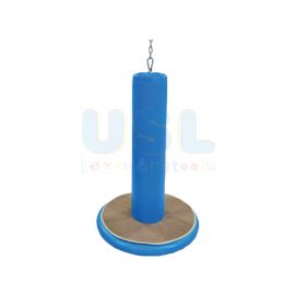 Flying Saucer Swing