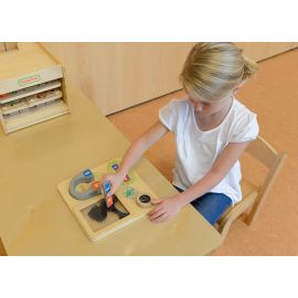 Magnetism Discovery Board