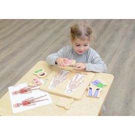 Human Body Layered Puzzles