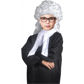 Career Costume - Judge