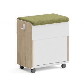 Storage Box with Wheels