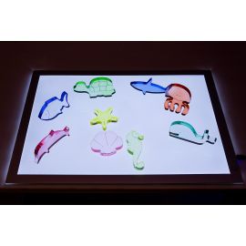 Underwater Animal Set (10pcs) – Ocean Sensory Toy
