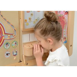 Sense of Smell