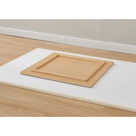 Science is Fun! Mirrored Table Lid