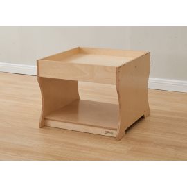 Science is Fun! Activity Table