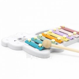 Polar B Xylophone