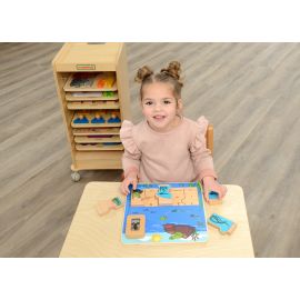 Frog Life Cycle Handy Learning Board