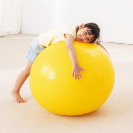 WePlay Gym Ball