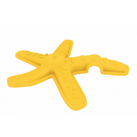 Starfish Balance Beam