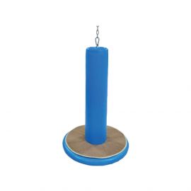 Flying Saucer Swing